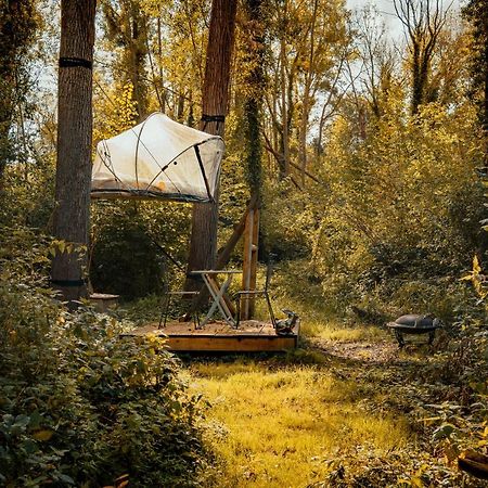 Les Bulles De La Maison Du Rocher Noisy-sur-Ecole Exteriér fotografie